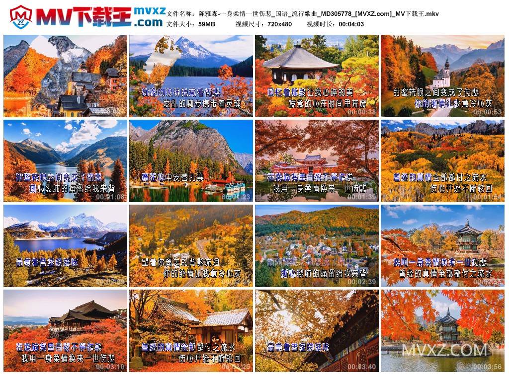 陈雅森-一身柔情一世伤悲_国语_流行歌曲_MD305778